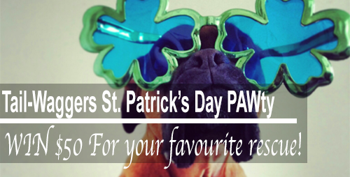 Tail-Waggers St. Patrick's Day Dog Party plus contest!