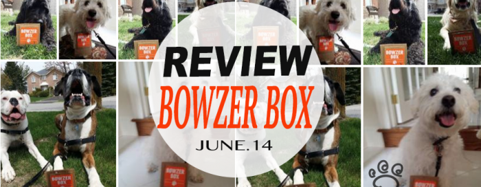 REVIEW | TAIL-WAGGERS DOG WALKERS TORONTO JUNE BOWZER BOX