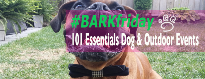 101 Essentials Dog and Outdoor Events