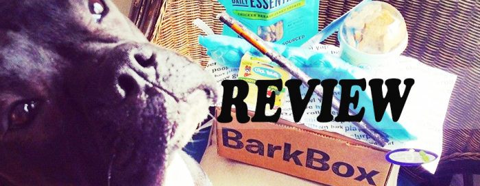 Review @BarkBox July Surf's up Pups! | Tail-Waggers Toronto Dog Walkers Blog Post