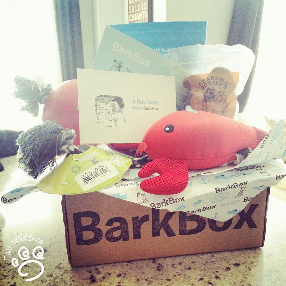 Barkbox August Review 2014 @ Tail-Waggers Dog Walkers in Toronto 