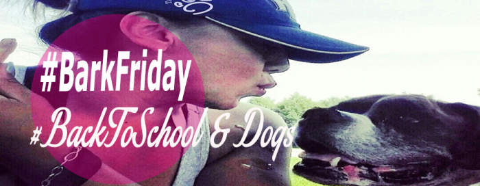 #BacktoSchool and #Dogs #Toronto #BarkFriday