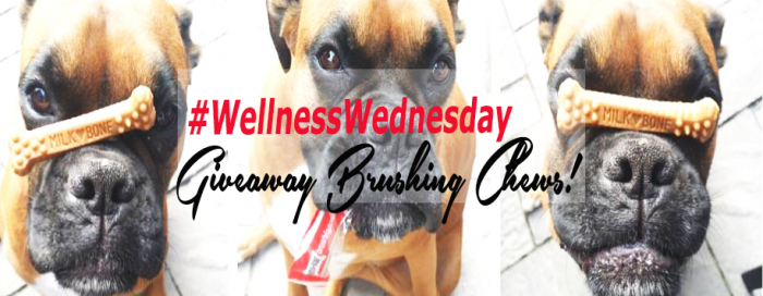 Aurora, ON | Blog column #WellnessWednesday @MilkBoneCanada Taste Like a Treat, Cleans Like a Toothbrush #BrushingChews