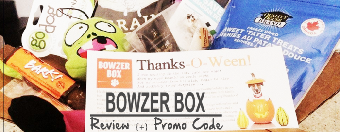 BOWZER OCTOBER EDITION REVIEW AND PROMO CODE