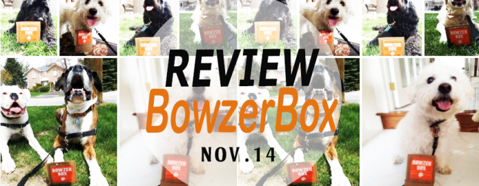 BowzerBox November Product Review