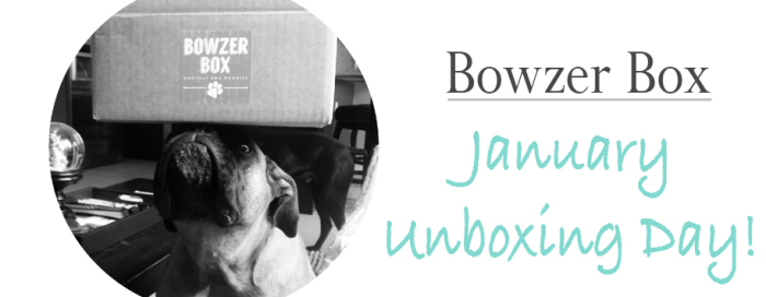 BowzerBox January Unboxing Day