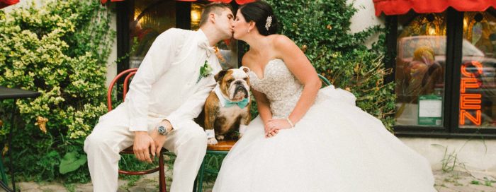 Dogs in weddings, weddings Toronto, Dog wedding attendant services, Tail-Waggers and weddings, bride, groom, bulldog, cute dogs in weddings, wedding paws,