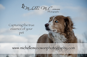 Michelle McCowan Photography