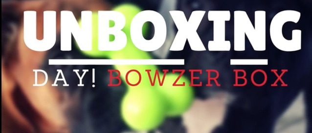 Bowzer Box Reviews: February Unboxing Day