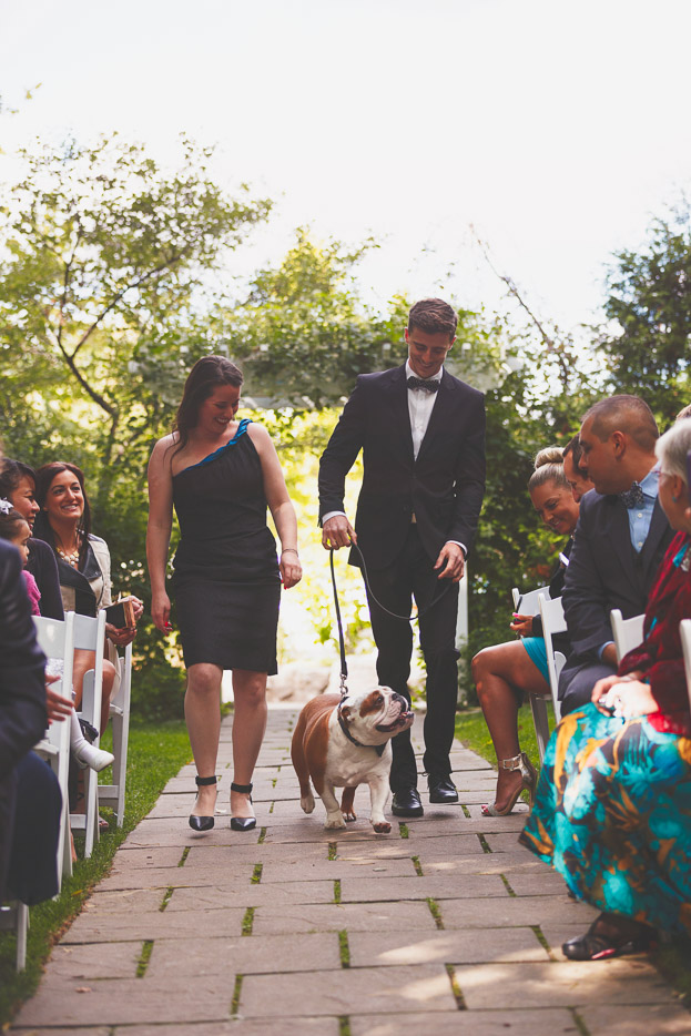 Big smile waling down the aisle!  Dogs in Weddings: Enzo Celebrating with Danielle & Frank 