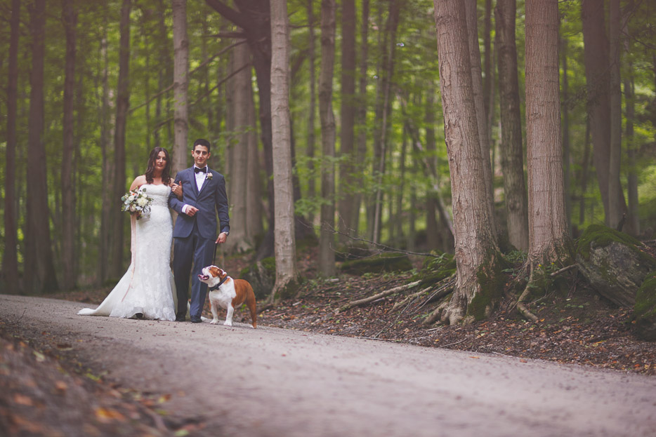 A walk at the park!  Dogs in Weddings: Enzo Celebrating with Danielle & Frank 