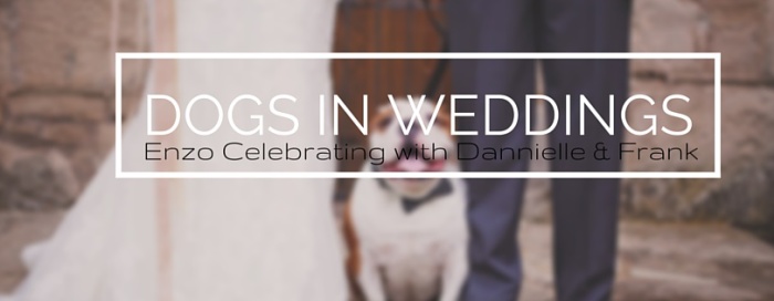 Dogs in Weddings: Enzo Celebrating with Dannielle & Frank