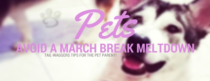 Pets, AVOID A MARCH BREAK MELTDOWN