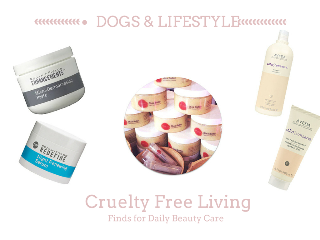 Cruelty Free Products for daily beauty routine