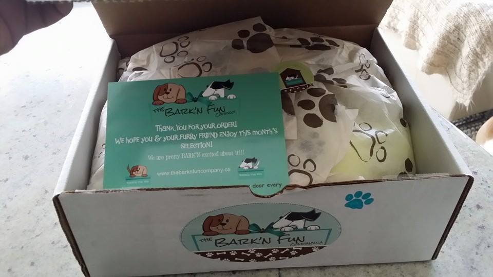 The Bark'N Fun Company Review 