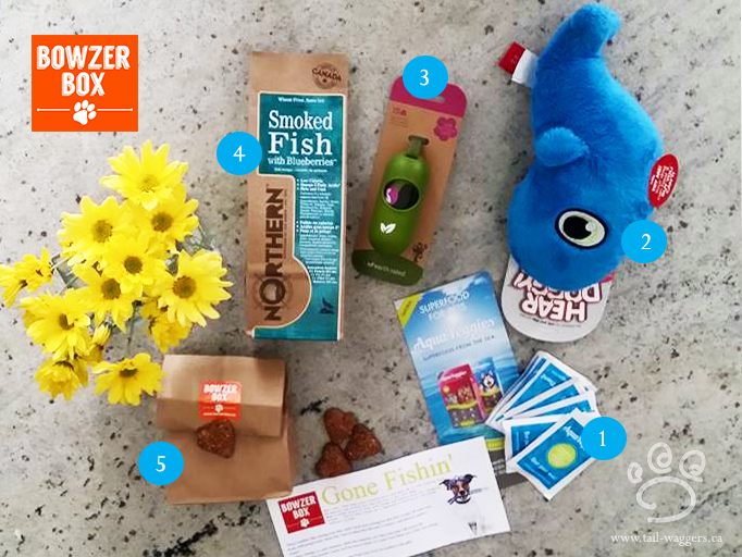 Bowzer-Box-Review-May-Gone-Fisin-Subscription-Box-For-Dogs-Pomo-Code