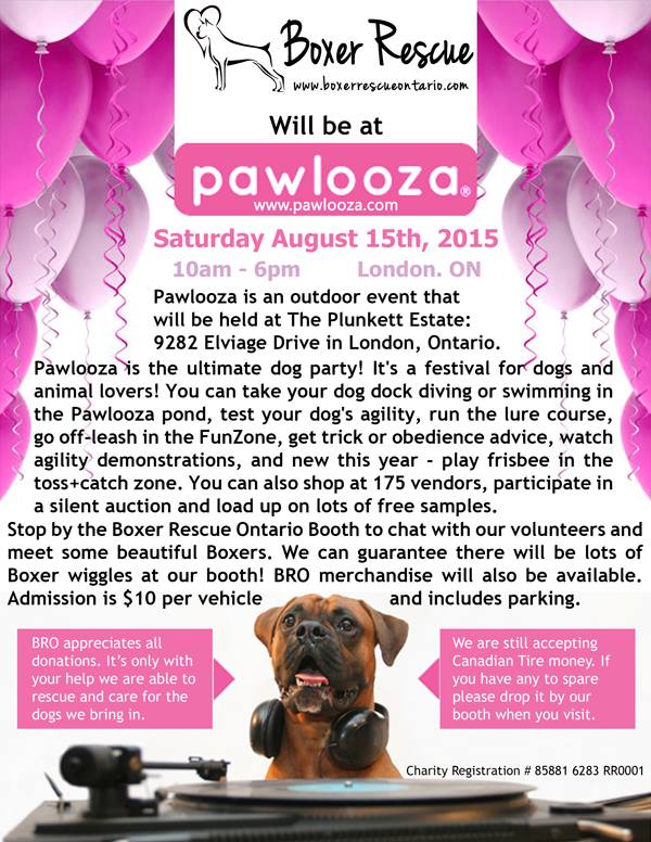 Boxer-Rescue-Ontario-Pawlooza