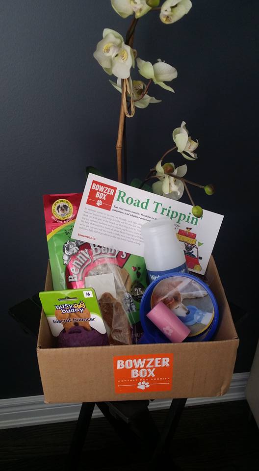 Bowzer Box Review August 2015 Road Trippin' Edition