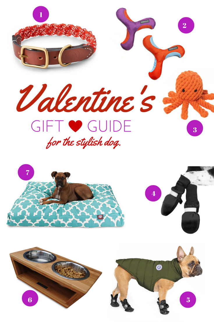 Gift-Guide-for-the-Stylish-DOG-valentine-day